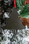 Balsam Fir