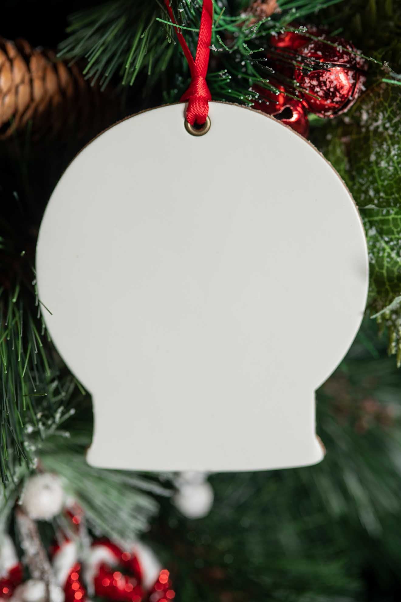 Snow Globe