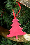 Balsam Fir