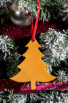 Balsam Fir